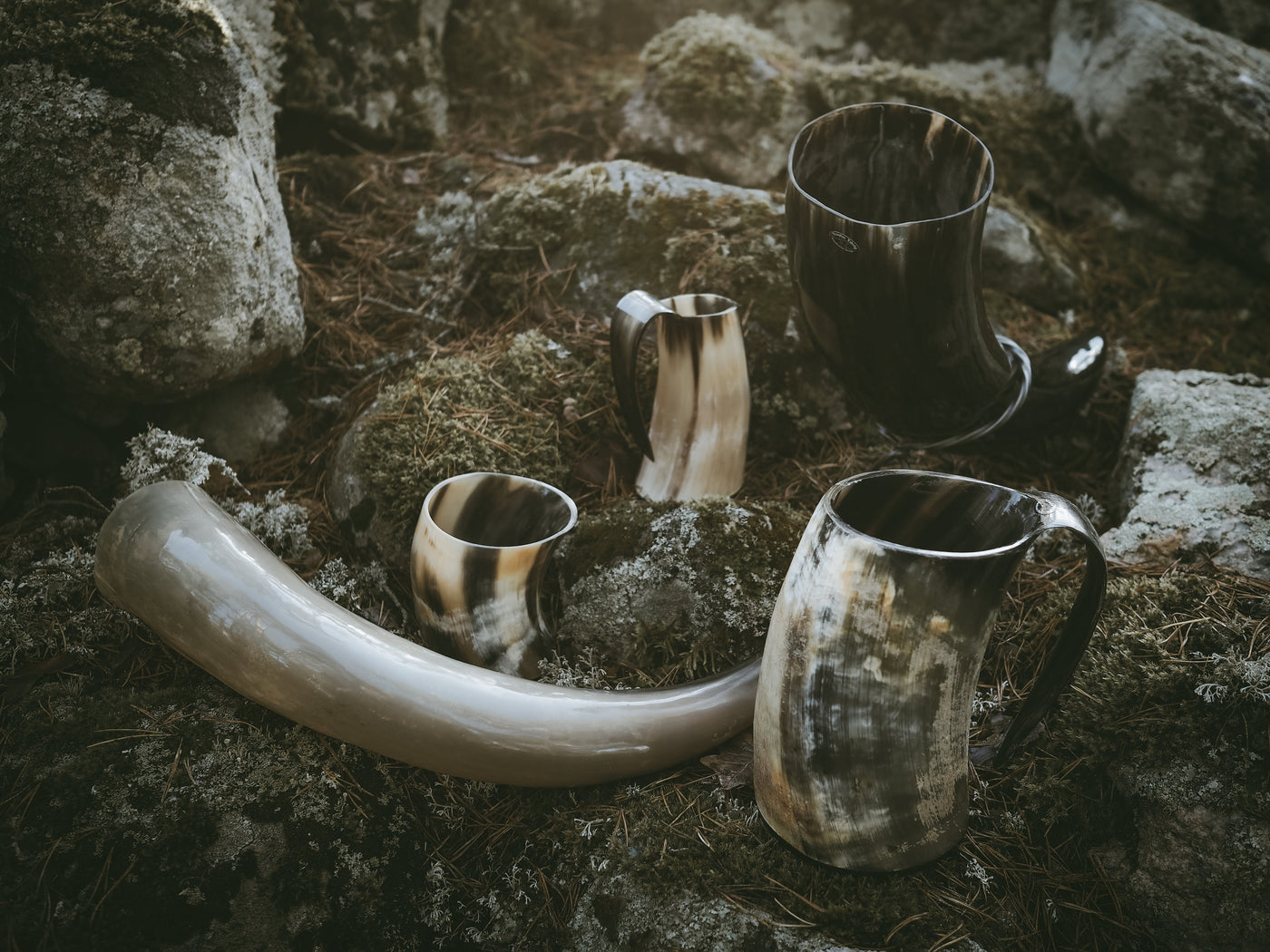 Horn