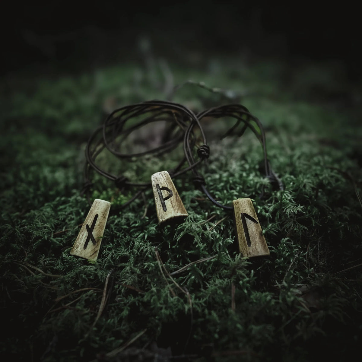 Nordiska Runor i ben