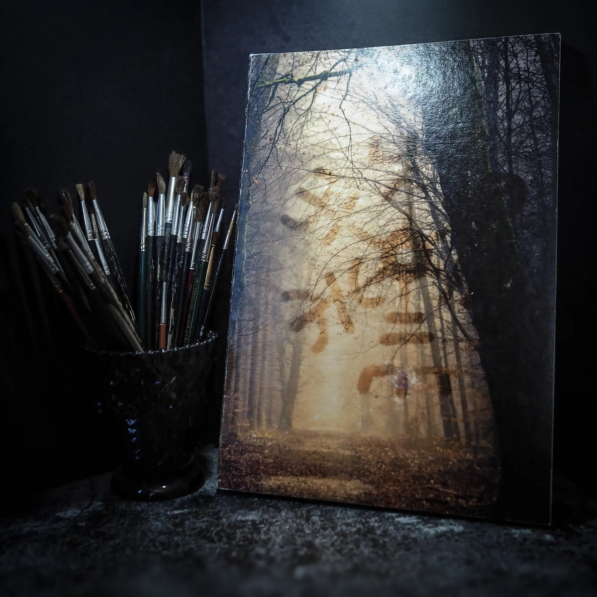 Målarbok A4, Vegvisir