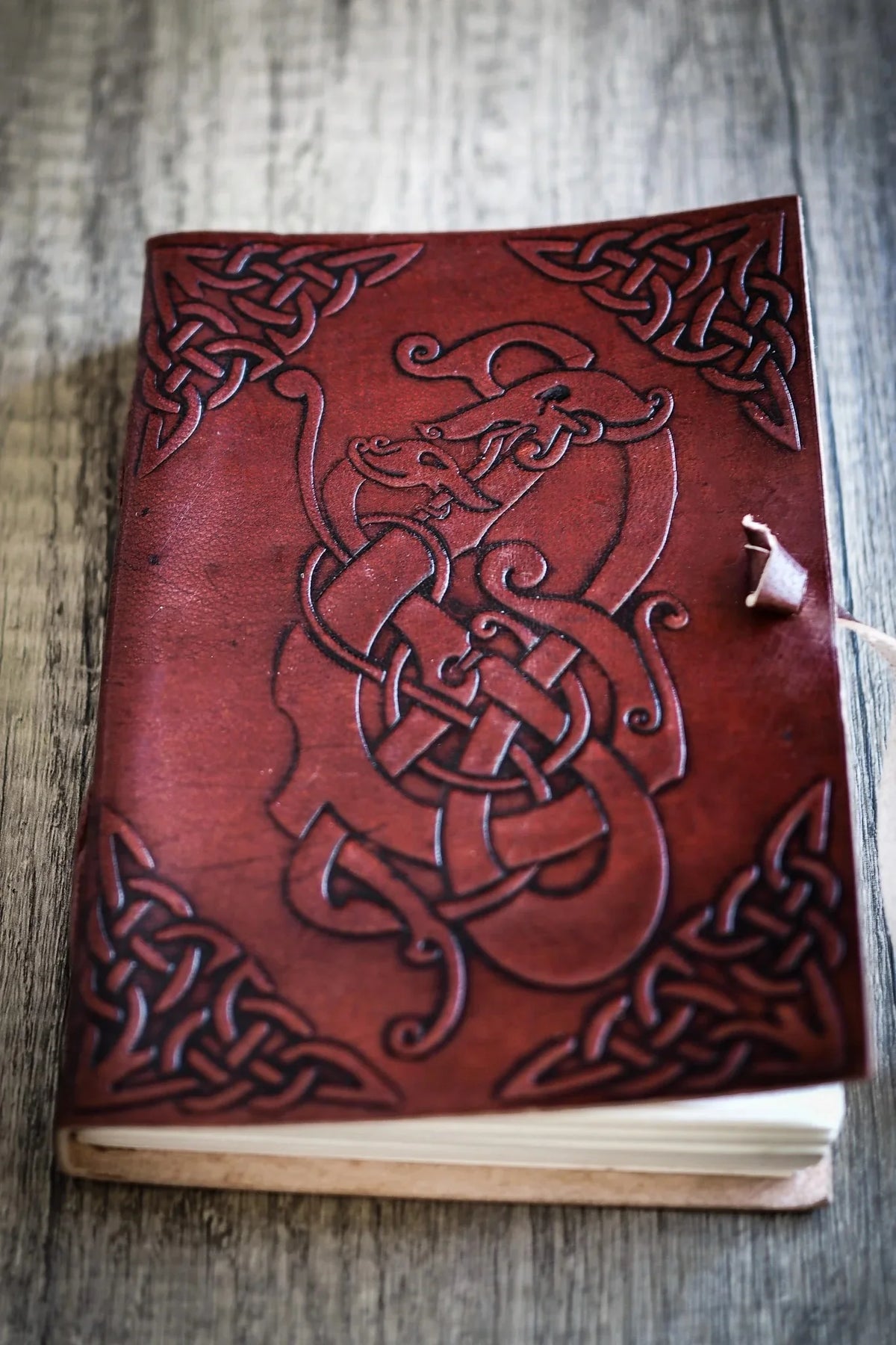 Notebook, dragon