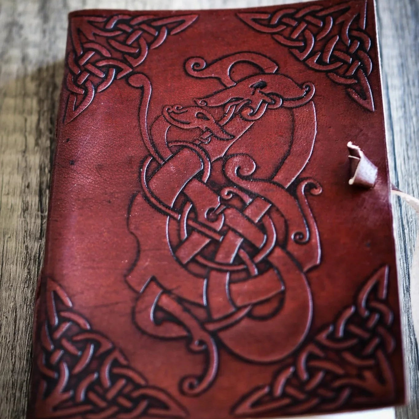 Vikingadrake-Anteckningsbok