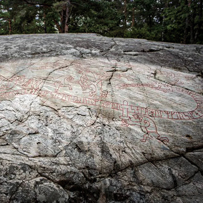 Graverad mugg, Sigurdsagan