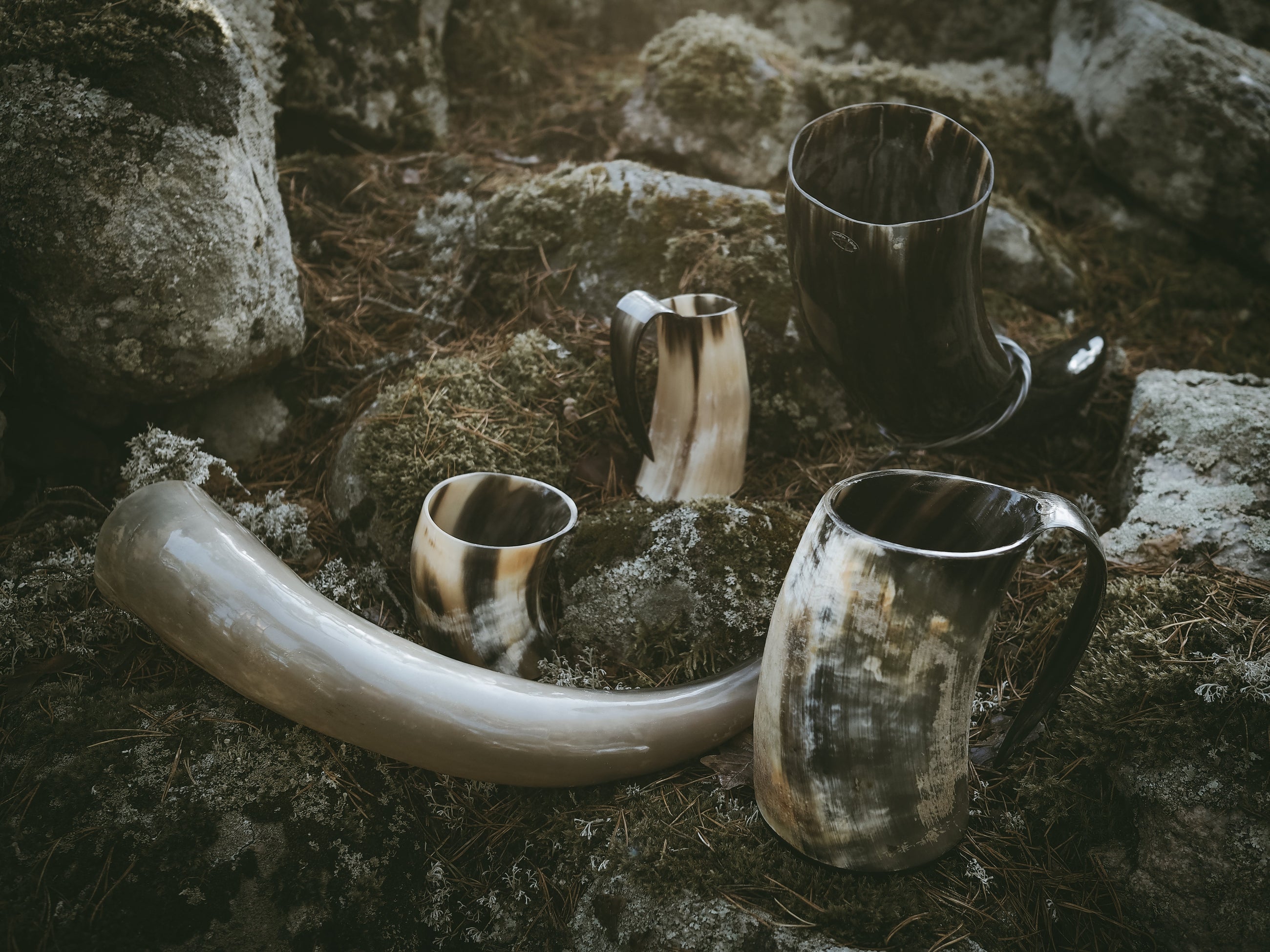 Horn