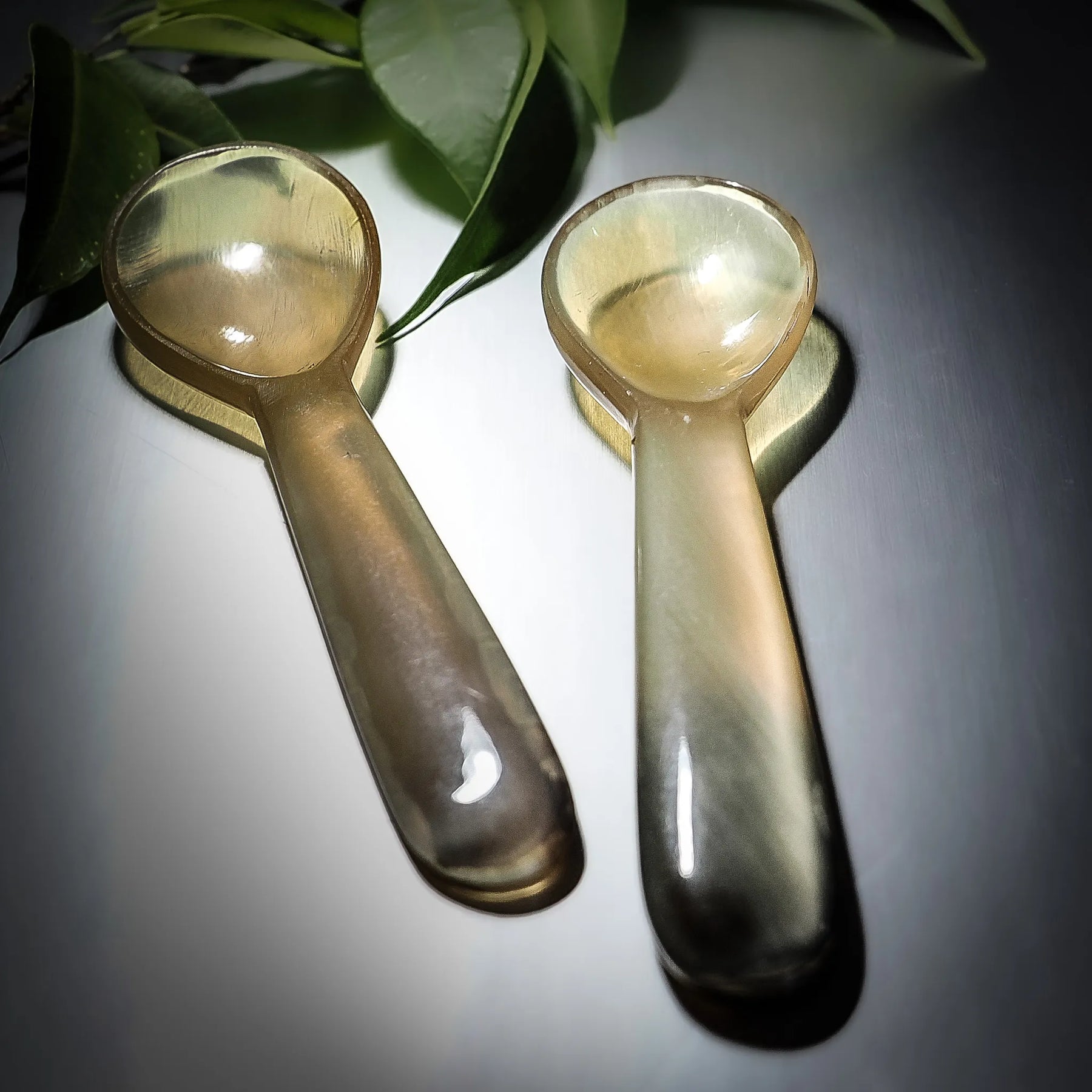Salt spoon in horn