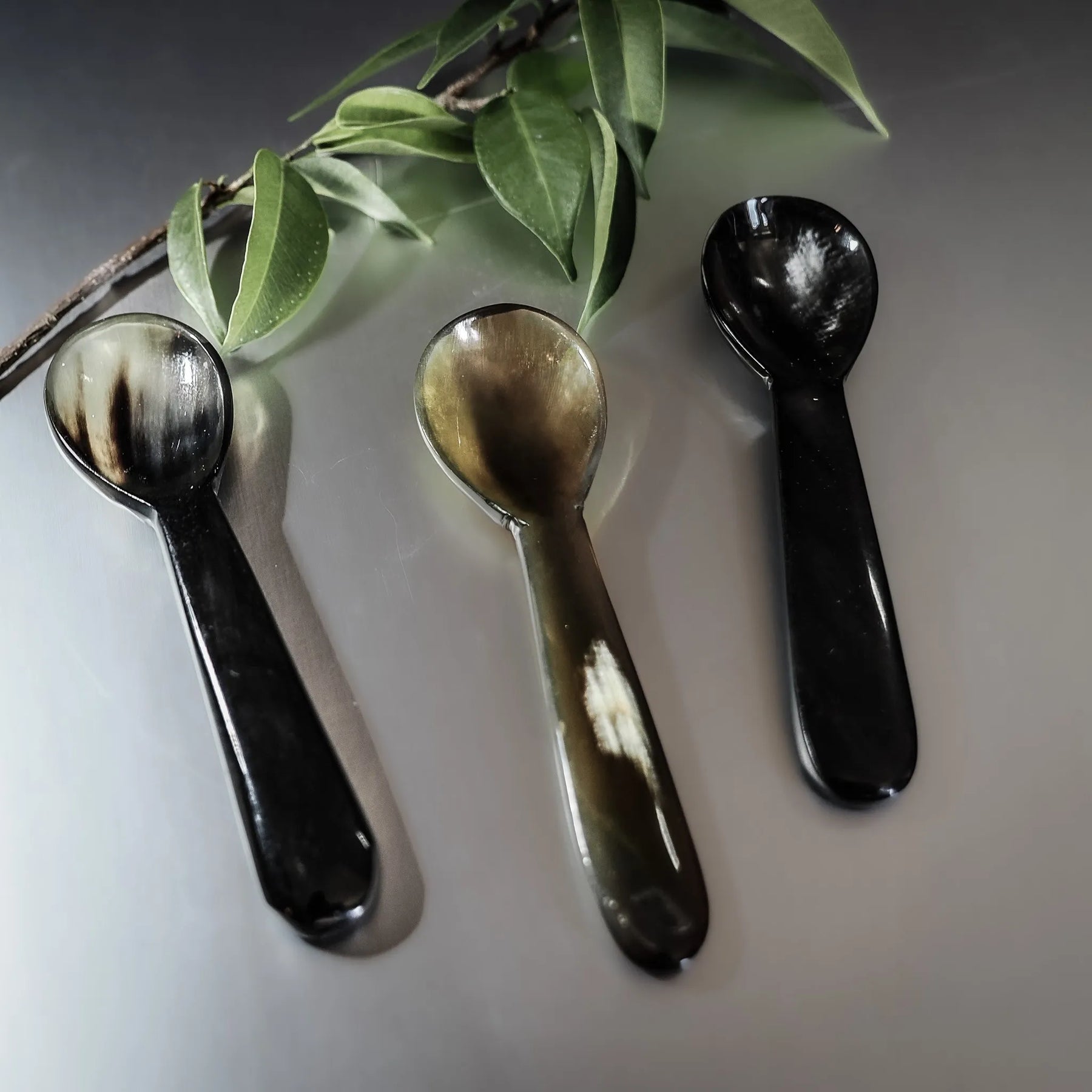 Salt spoon in horn