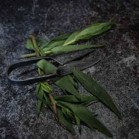 Herb scissors / Beard scissors