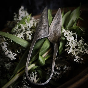 Herb scissors / Beard scissors