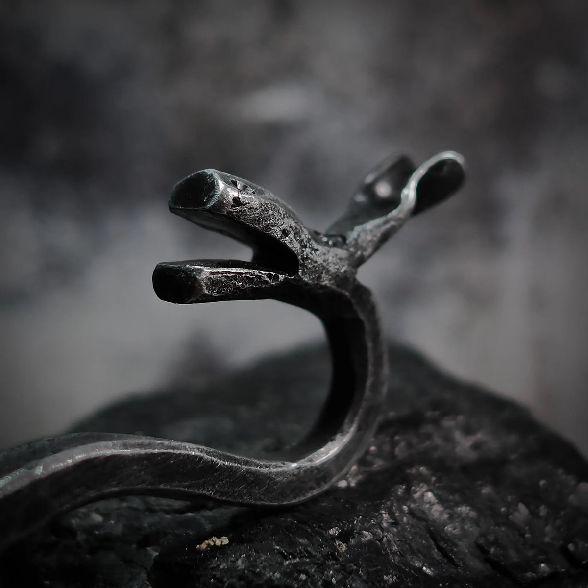 Bottle opener, Elk