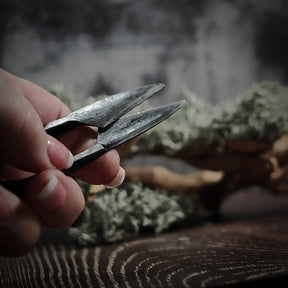 Herb scissors / Beard scissors