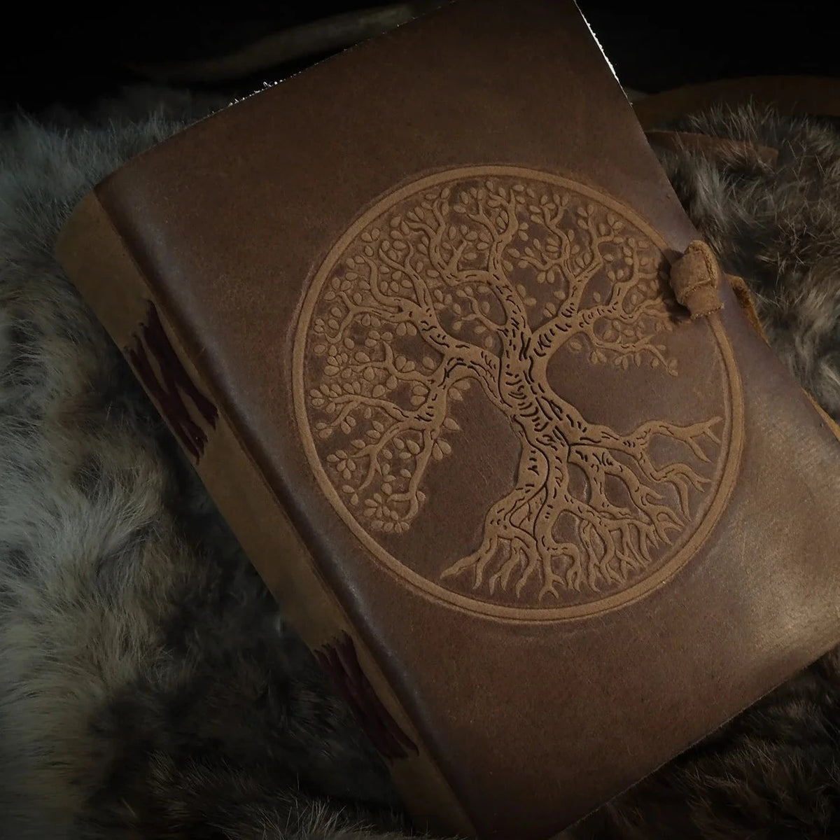 Tree of Life, notebook