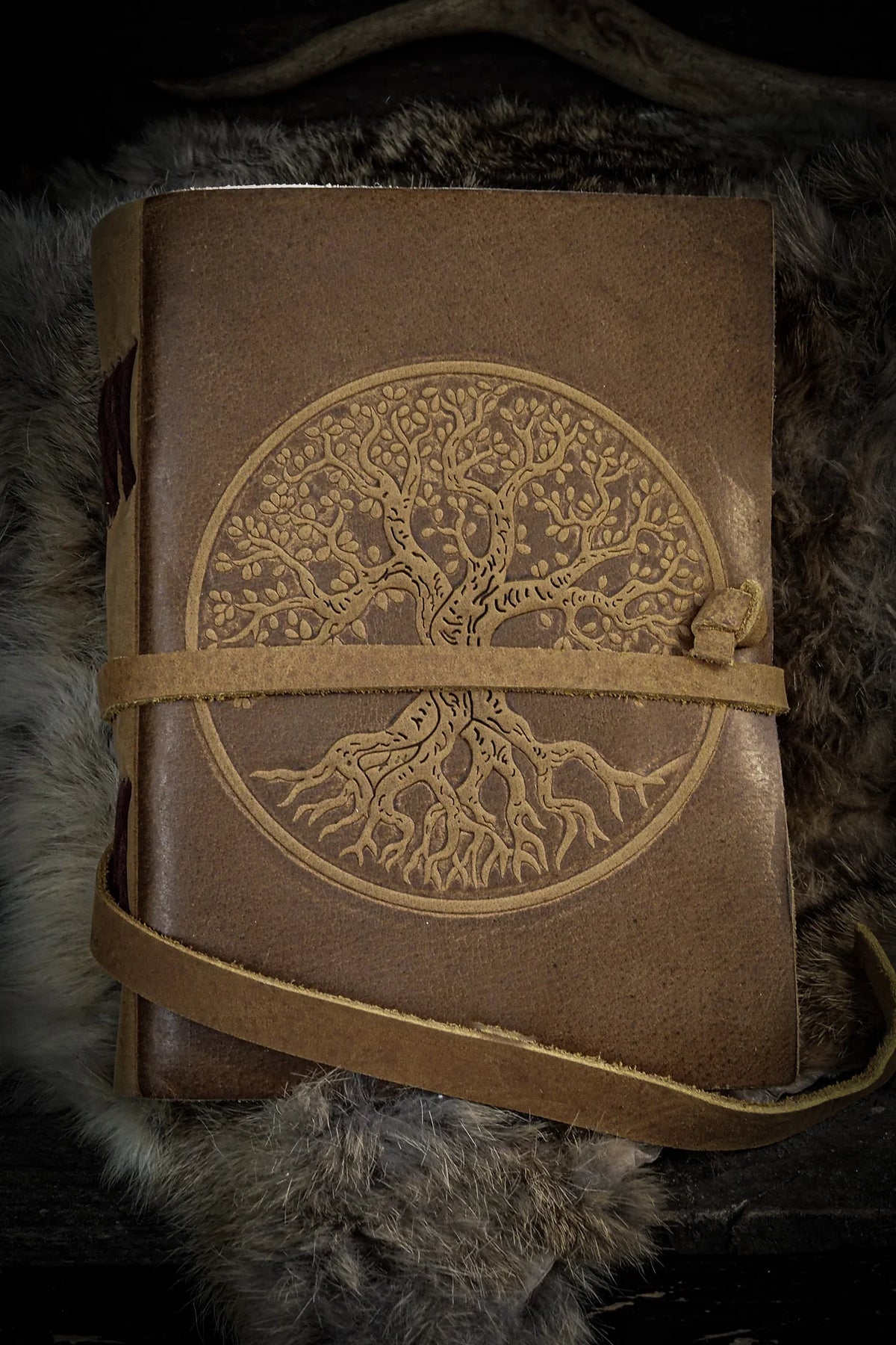 Tree of Life, notebook