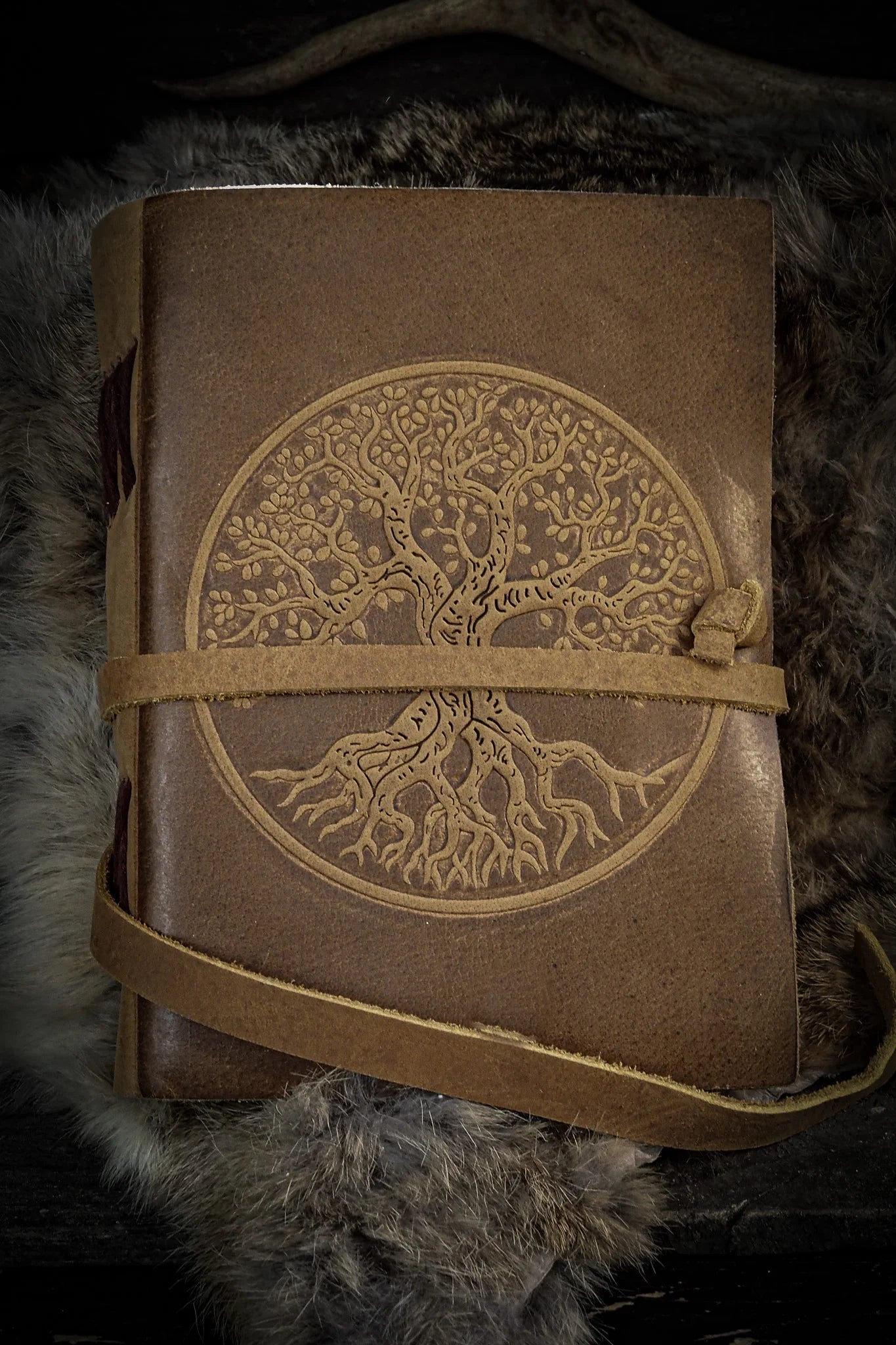Notebook, Tree of Life
