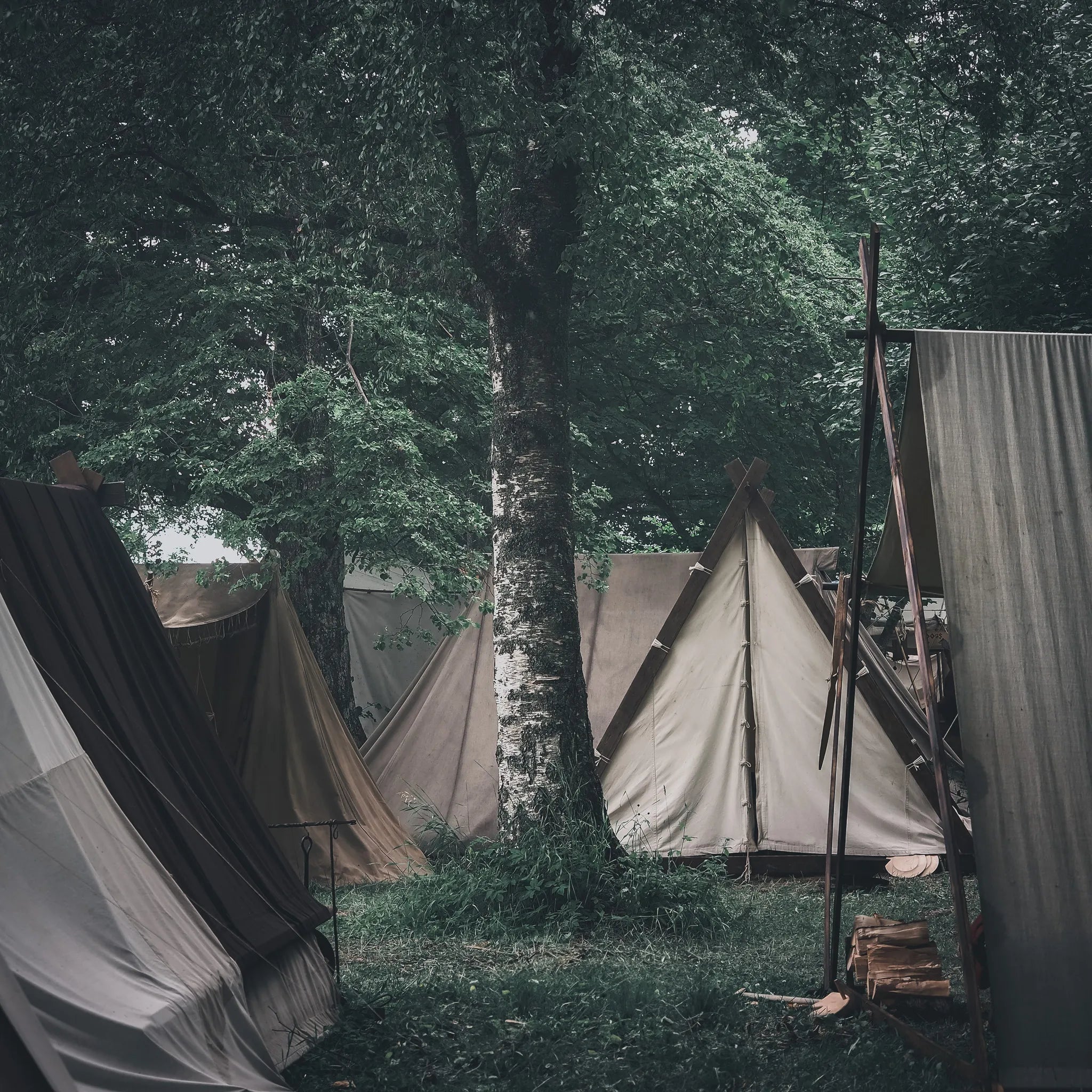 vikingvillage