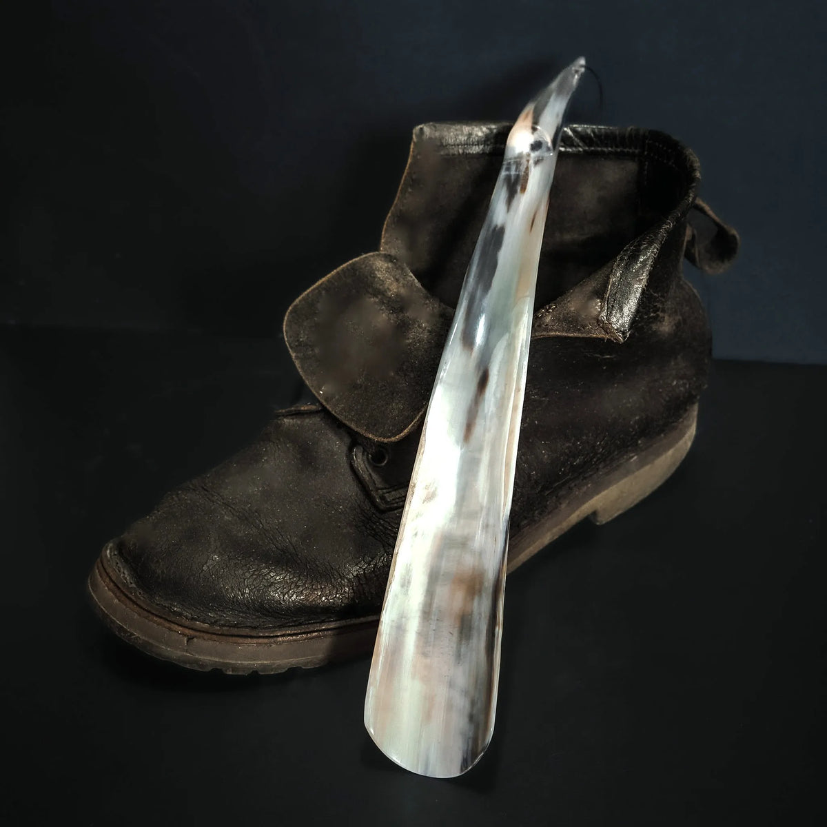 Shoehorn in horn, pointy end