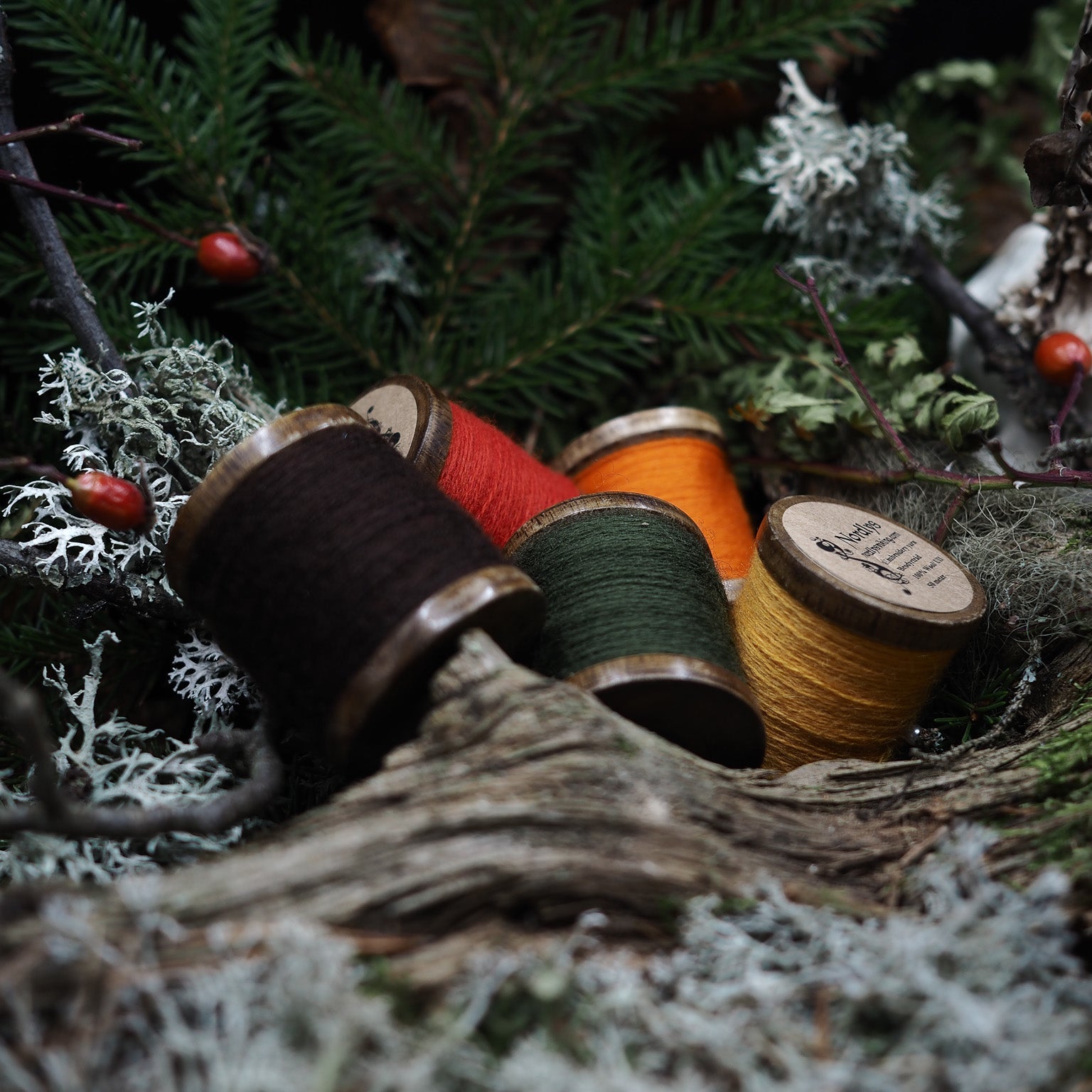 Flera brodyrtrådar i olika färger på träspolar arrangerade på ett stubbrot i en skogsmiljö med mossa och bär